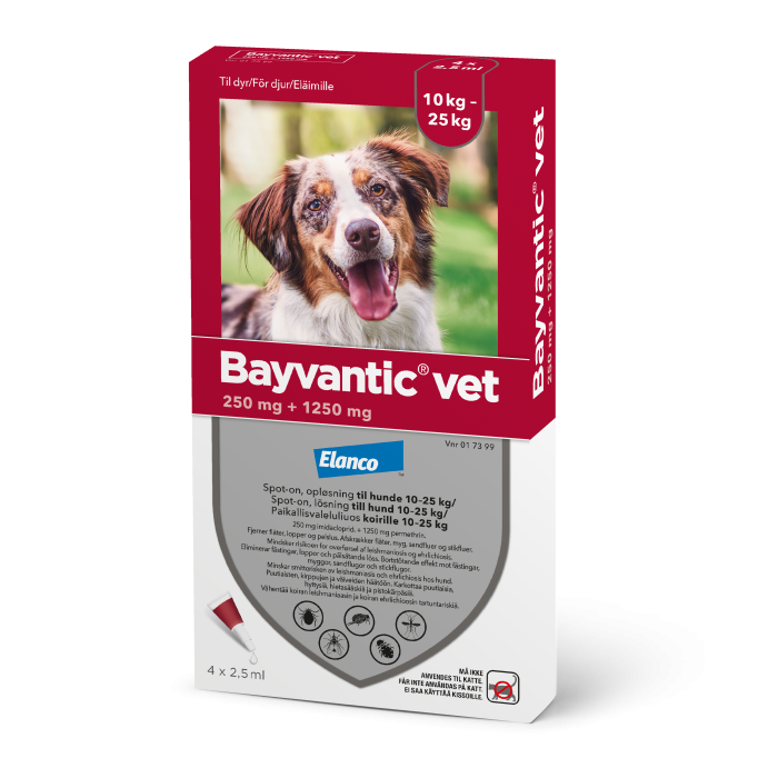 BAYVANTIC VET KOIRILLE 10-25 KG 250/1250 mg paikallisvaleluliuos 4x2,5 ml