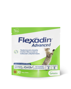 Flexadin advanced kissoille 30 purutabl